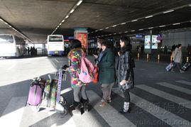 明星在首都机场,星光熠熠的出行瞬间