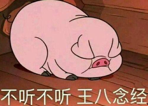 吸粉吗表情包,揭秘吸粉吗表情包的魅力所在