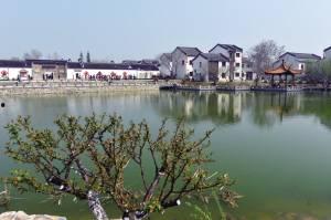 摇啊笑啊桥图片,共度美好时光