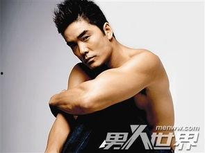 男明星有被男总潜的吗,男明星遭遇男总潜规则的内幕